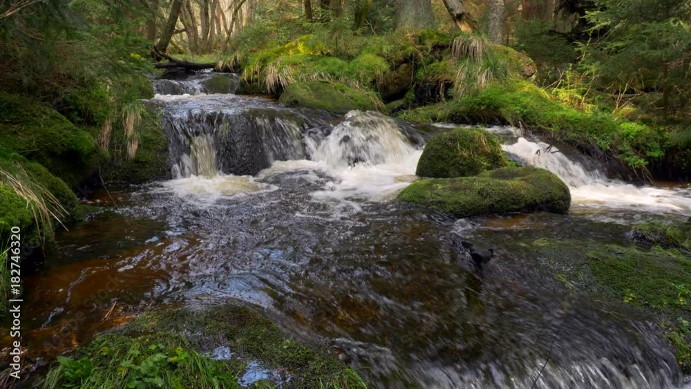 Fresh mountain stream Fresh mountain stream