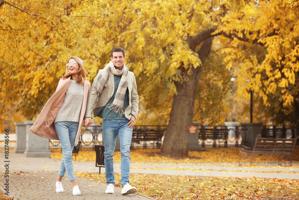 Young couple walking in park on autumn day - obrazy, fototapety, plakaty 