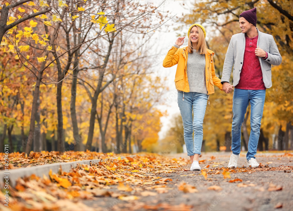 Young couple walking in park on autumn day