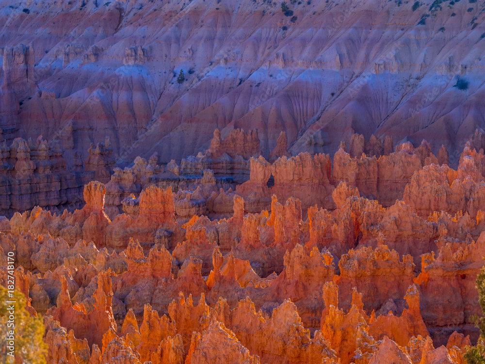 The red cliffs of Bryce Canyon National Park in Utah