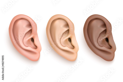 Vector realistic human ear iocn set closeup isolated on white background. Design template of body part, human organ