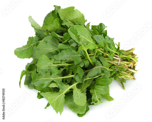 green fresh rucola leaves isolated on white background. Rocket salad or arugula.