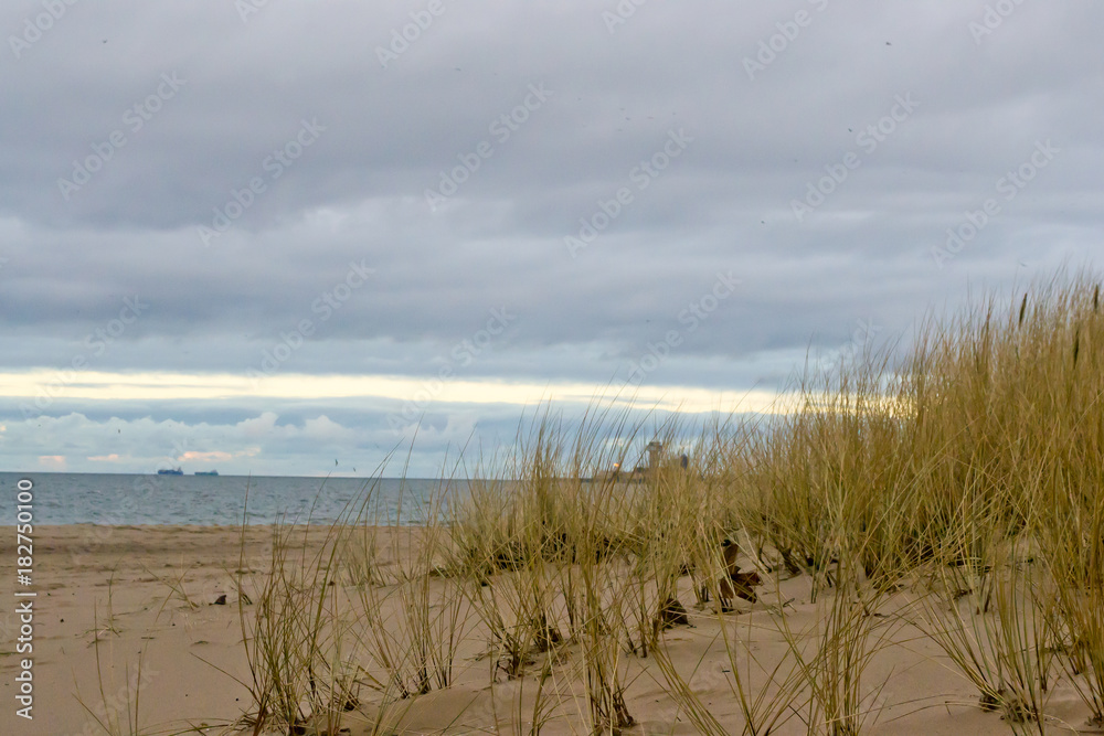 sea grass on the beach, harbor and cargo ships in the background