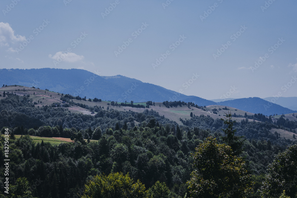 View of the mountains with trees
