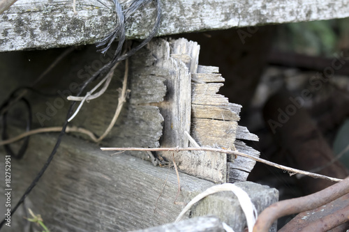close-up grunge background with broken wooden boards