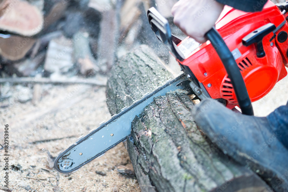 Close-up of man cutting trees from forest or garden with chainsaw.