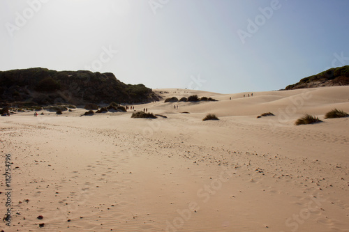 Sand. Beach dunes of Bologna, Tarifa, Spain. Picture taken – 2 september 2017. © Ekaterina