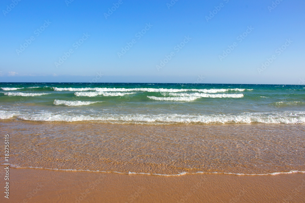 Atlantic Ocean. Relaxing summer view. Tropical landscape. Beach Bologna, Tarifa, Spain.