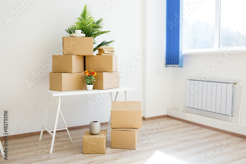 Cardboard boxes - moving to a new house © Nichizhenova Elena
