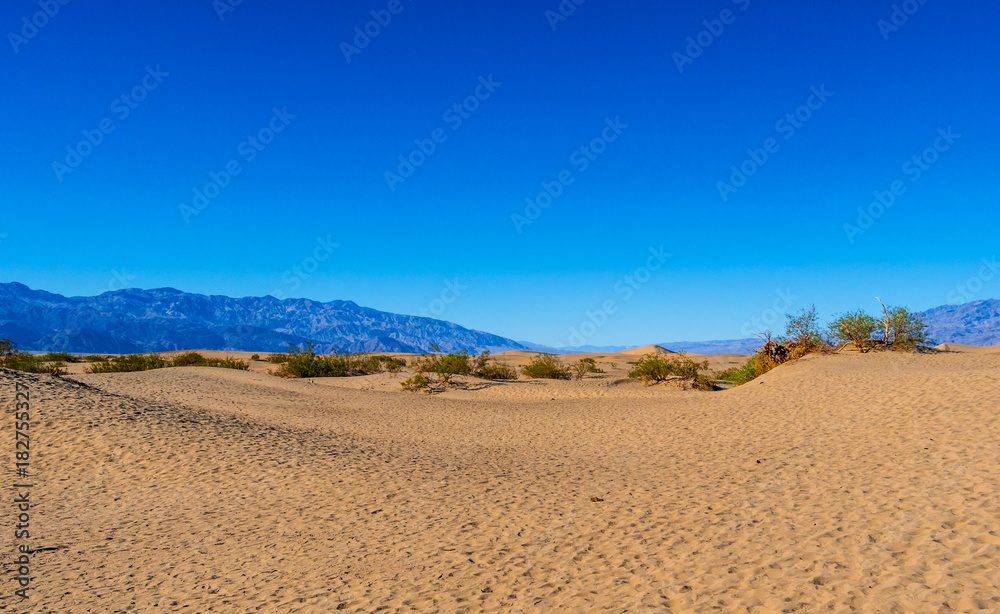 Sand Dunes at Death Valley National Park - Mesquite Flat Sand Dunes Sand Dunes at Death Valley National Park - Mesquite Flat Sand Dunes