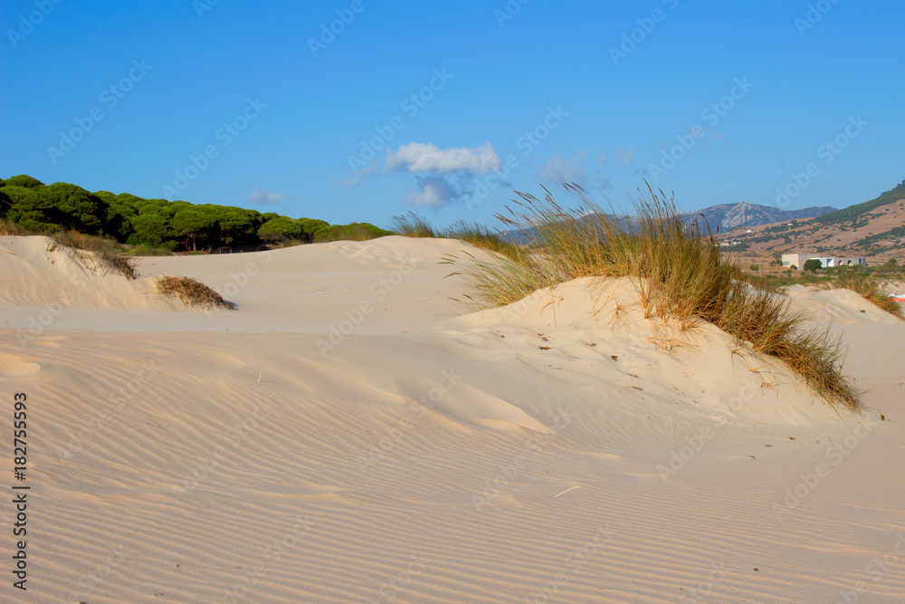 Beach. Summer beach view. Beach Bologna, Tarifa, Spain. Beach. Summer beach view. Beach Bologna, Tarifa, Spain.