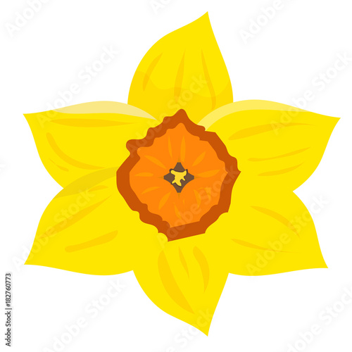 Vector illustration: daffodil, known as daffadowndilly, narcissus or jonquil.  Heraldic flower as the seal of Wales. A symbol of a the feast day of Saint David, the patron saint of Wales.