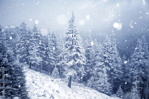 Trees covered with hoarfrost and snow in winter mountains - Christmas snowy backgroundic holiday background