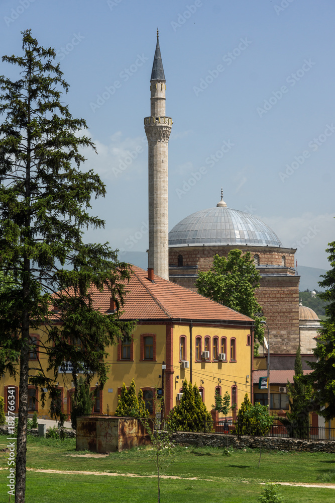 Fototapeta premium Mustafa Pasha's Mosque in city of Skopje, Republic of Macedonia 