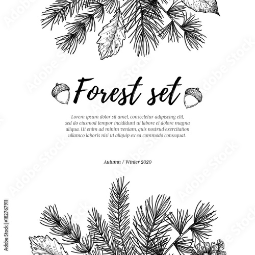 Hand drawn vector illustration - forest frame with spruce branches, acorns, pine cones and fall leaves. Winter label. Perfect for invitations, greeting cards, quotes, blogs, Wedding Frames, posters