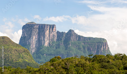 Close-up view of Autana mount, in Amazonas state, in southern Venezuela photo