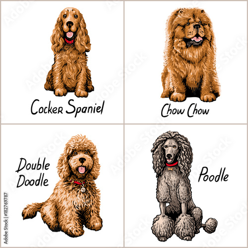 Set of dogs. Vector illustration.