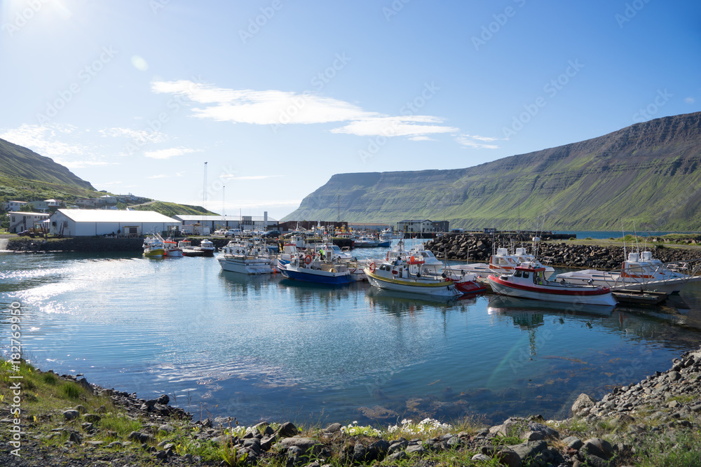 Hafen-/ Küsten-Landschaft in den Westfjorden, Island