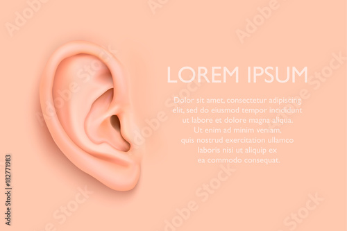 Fotografiet Vector background with realistic human ear closeup