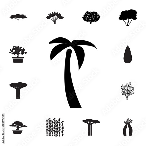 palma icon. Set of silhouette of tree icons. Web Icons Premium quality graphic design. Signs, outline symbols collection, simple icons for websites, web design, mobile app