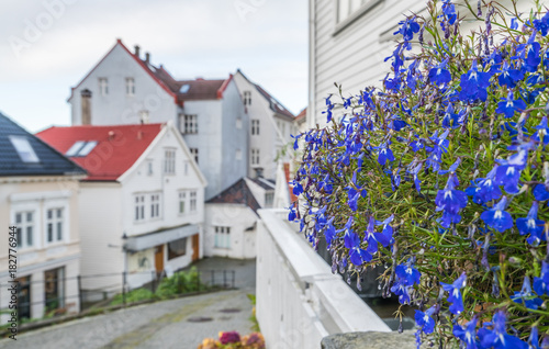 Blue flowers on the balcony of one of the traditional old wooden houses in Bergen