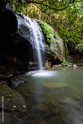 Buderim State Forest