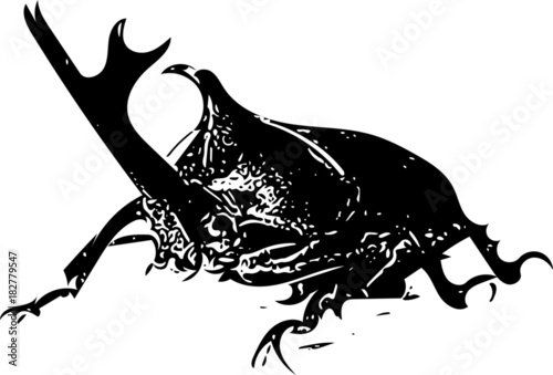 カブトムシ
