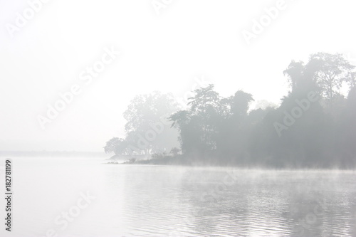 fog in a lake