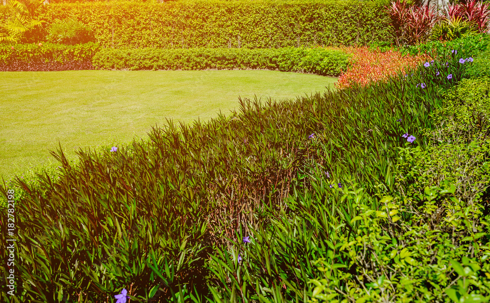 Fototapeta premium Landscape is the sun in the morning, the front yard with the garden design.