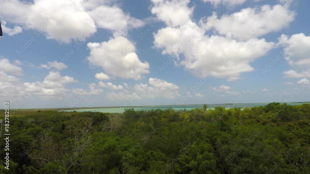 Tourists on a wooden tower above mangrove forest jungle Tourists on a wooden tower above mangrove forest jungle