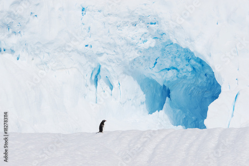 beautiful white icy hill with penguin in antarctic