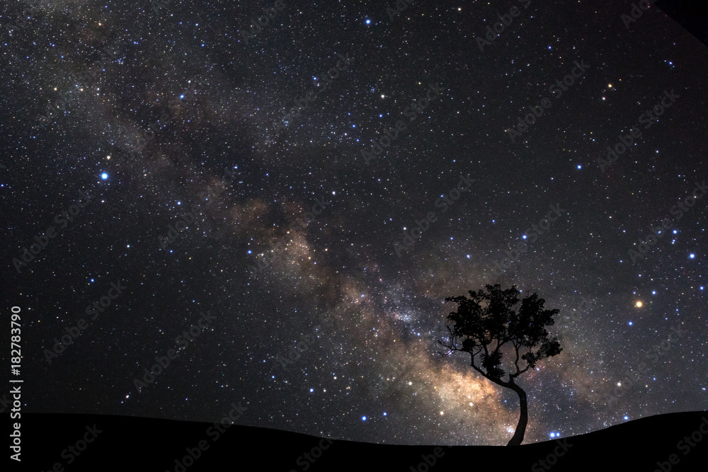 landscape with milky way, Night sky with stars and silhouette of pine tree on high mountain. landscape with milky way, Night sky with stars and silhouette of pine tree on high mountain.