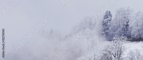 Panorama Schneelandschaft im Nebel