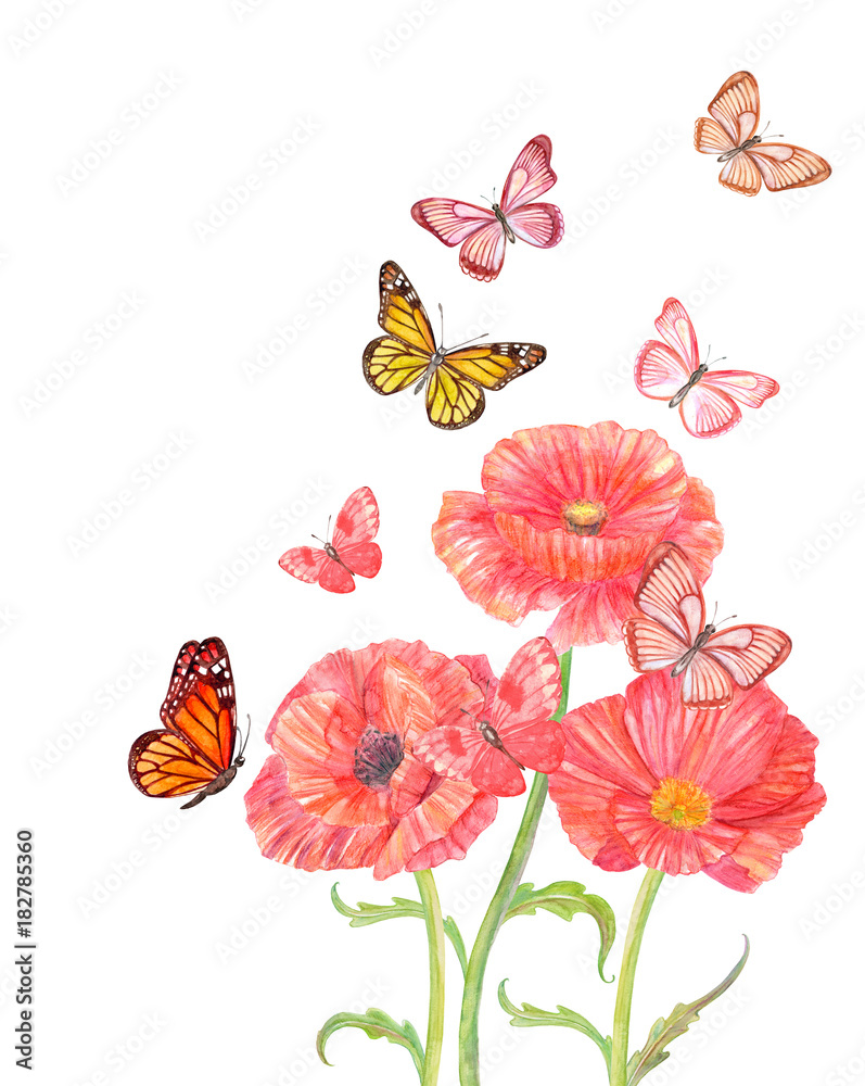 three red poppies with flying butterflies for your design. watercolor painting