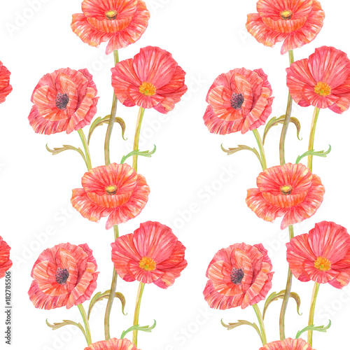 seamless texture with nice poppies on white background. watercolor painting