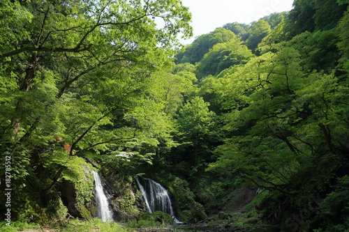 新緑の十二滝　Junitaki(Twelve Falls) in early summer / Sakata, yamagata, Japan