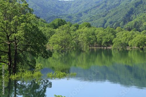 初夏の荒沢湖　Arasawa Lake in early summer / Tsuruoka, Yamagata, Japan	