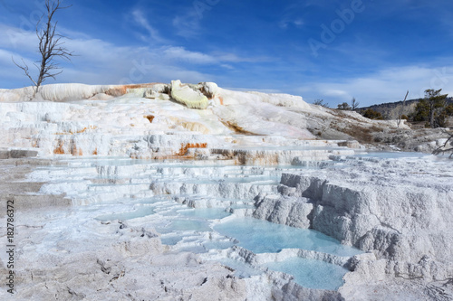 Upper Terrance at Mammoth Hot Springs area, Yellowstone National Park