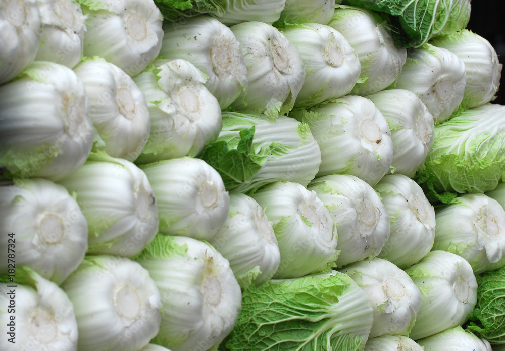 Stacking fresh Chinese cabbage in pile Stacking fresh Chinese cabbage in pile