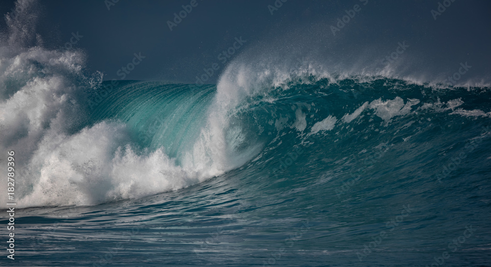 Naklejka premium Huge waves crashing in ocean. Seascape environment background. Water texture with foam and splashes. Hawaiian surfing spots with nobody
