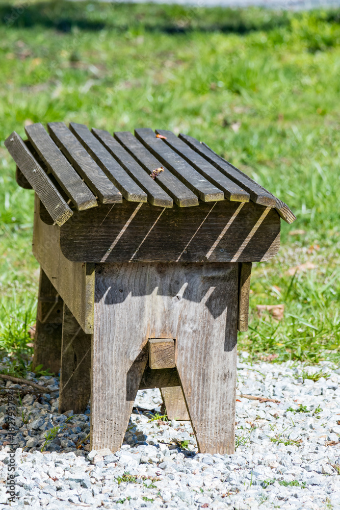Fototapeta premium single bench under the sun
