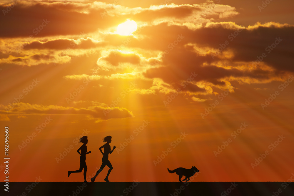 Obraz premium 犬と女性に富士山と朝日