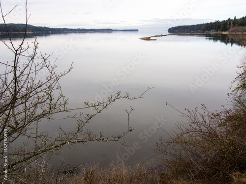 Winter scenery of Olympic peninsula in Washington state  USA