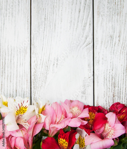 alstroemeria flowers on a table © Olena Rudo