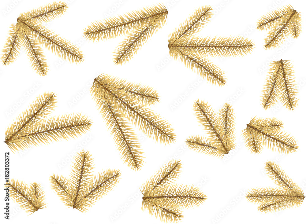 Fir branches isolated on white background. Fir branches isolated on white background.