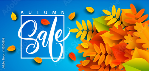 Autumn banner background with fall leaves. Vector illustration