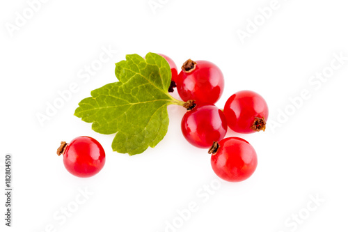 Red currants on white