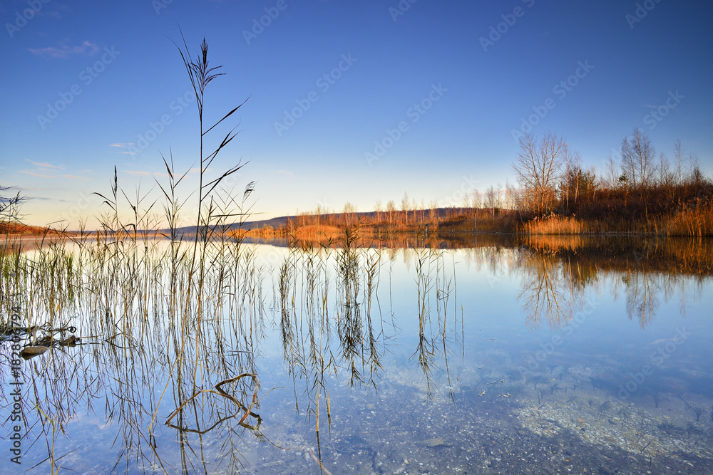 Clear Calm Lake with Reeds in the Warm Light of the Rising Sun