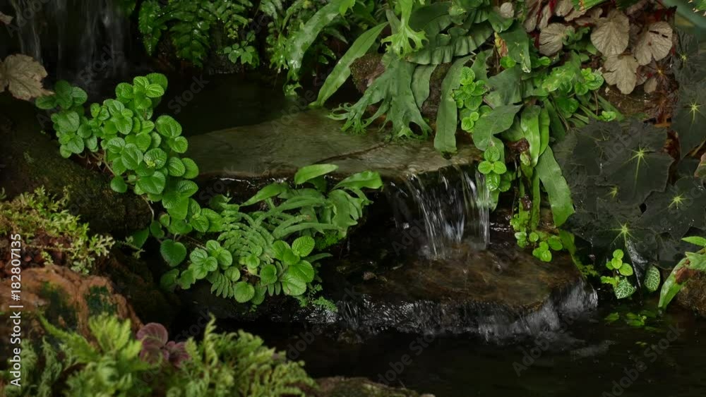 small peaceful waterfall with clear water flowing and fresh green plants in forest. small peaceful waterfall with clear water flowing and fresh green plants in forest.