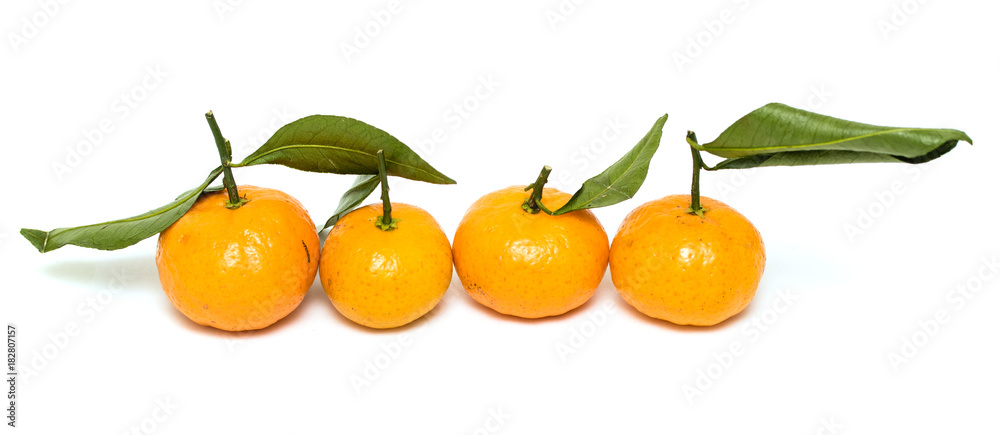 tangerines on a white background isolated tangerines on a white background isolated